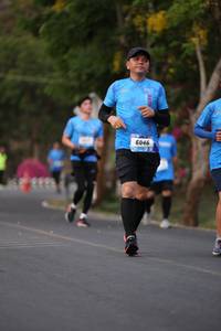 BIB: 6046
                            <button type="button" onclick="openModal(3498426)" class="btn btn-primary btn-sm float-right btn-popup" data-toggle="modal" data-target=".modal-high-quality">
                        <i class="fas fa-shopping-cart"></i> Add to Cart
                    </button>
                                            <button type="button" onclick="isThisMe(3498426, true)" class="btn btn-success btn-sm float-right btn-popup btn-isme hidden" data-toggle="tooltip" data-placement="bottom" title="นี่คือรูปของคุณใช่ไหม คลิกที่นี่เพื่อเอาเข้าอัลบั้ม">
                        <i class="fas fa-plus"></i> Add to album
                    </button>
                    <button type="button" onclick="isThisMe(3498426, false)" class="btn btn-warning btn-sm float-right btn-popup btn-isnotme hidden">
                        <i class="fas fa-ban"></i> Remove from album
                    </button>